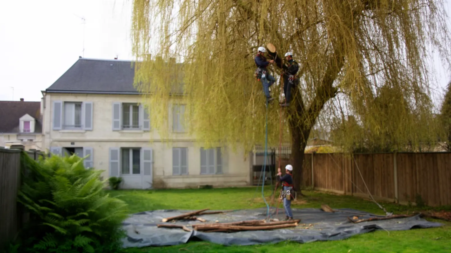 Élagueur professionnel à La Riche et alentours